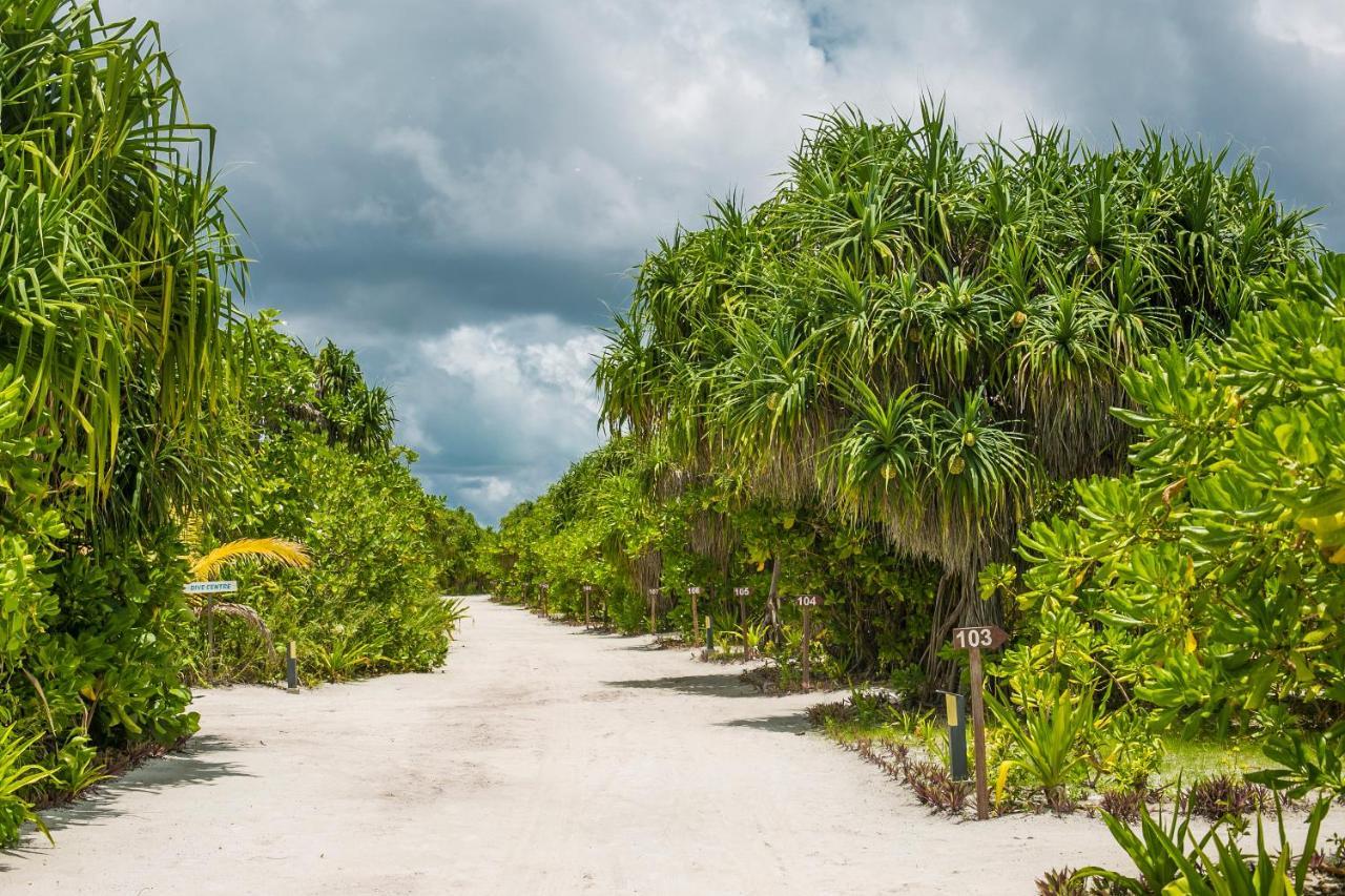 Island Hondaafushi